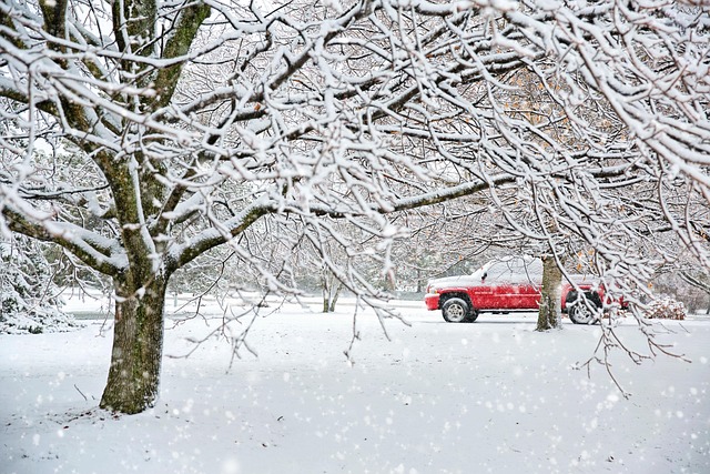 snow removal
