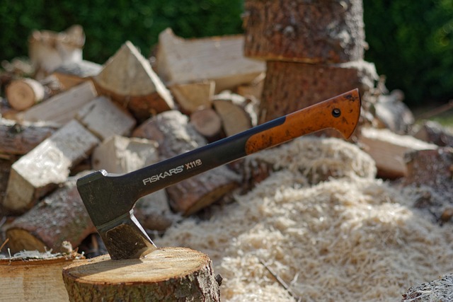 Unlock Healthy Trees, Save Money: Expert Pruning by Top Tree Service