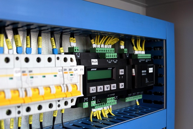 Free Your Home from Mice: Expert ProTrap Removal in Windsor & Essex