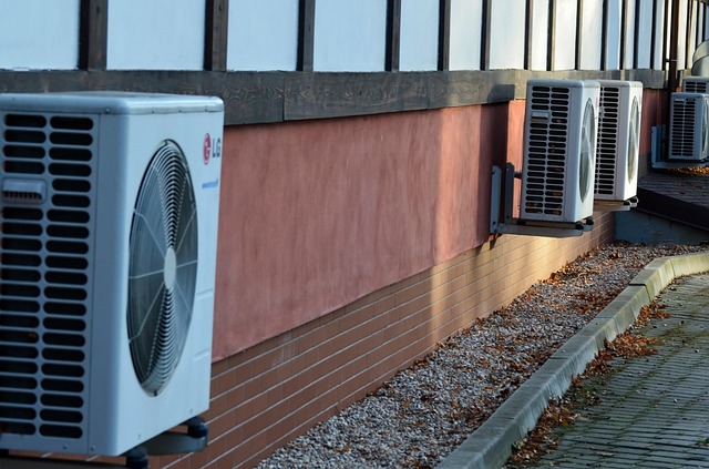 Emergency Mouse Infestation? Get Instant Relief with Windsor Essex’s Top Wildlife Control Solutions – Free Quote Now!