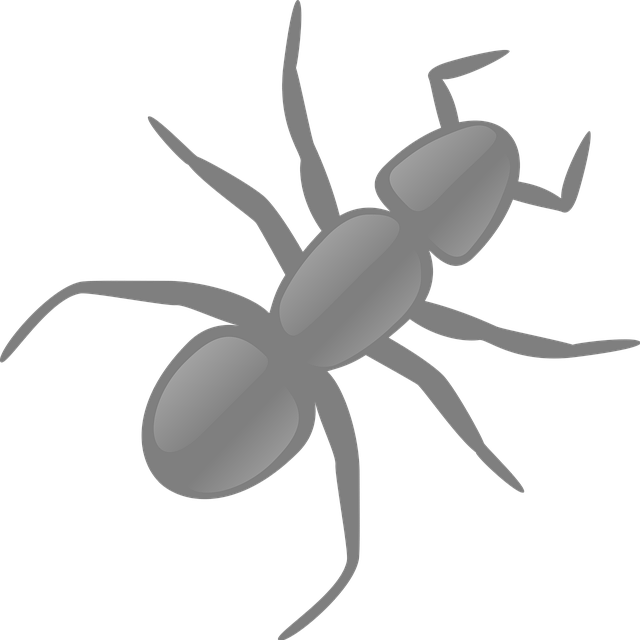 Animal Damage Repair Windsor Ontario: Expert Solutions for Essex County