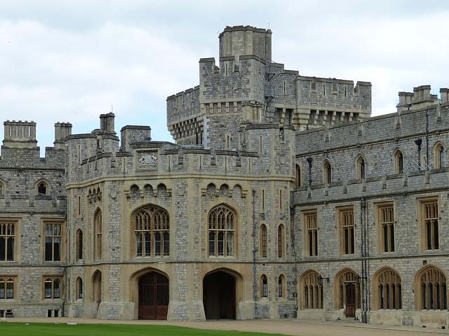 Round-the-Clock Rescue: Free Emergency Wildlife Removal by ProTrap Windsor