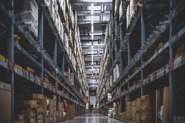 Unlock Space: Secure, Affordable Vehicle Storage Near You – Essex Self Storage