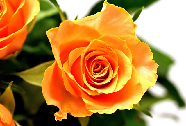 Uncover Top Day Spas for Transformative Medical Facials Near You