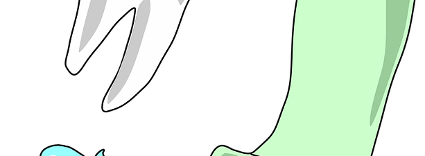 dental-cleaning-640x480-32518627.png