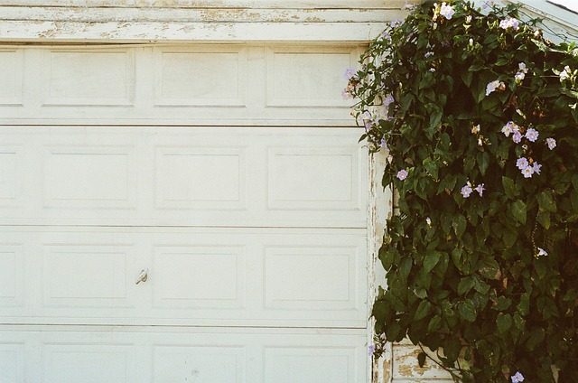Repair Garage Door Dents Affordably – Save Money Now!