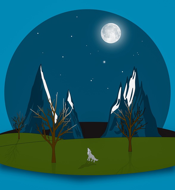 Garlatti’s Seasonal Magic: Revive Your Lawn, Save Big This Year!
