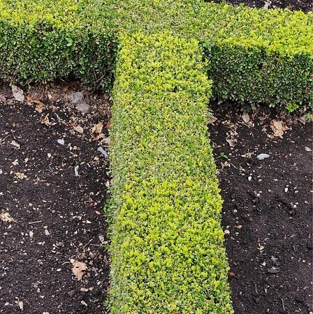 landscaping-640x480-25137192.jpeg