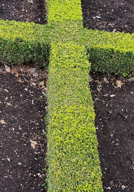 Transform Your Space, Save Big: Windsor’s Top Property Management by Garlatti Landscape