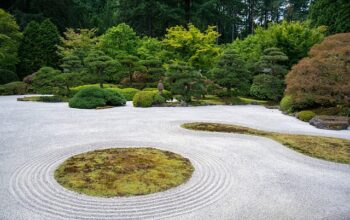 landscaping-640x480-3540768.jpeg