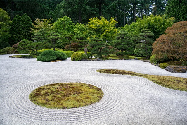 landscaping-640x480-3540768.jpeg
