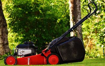 lawn-care-640x480-15987680.jpeg