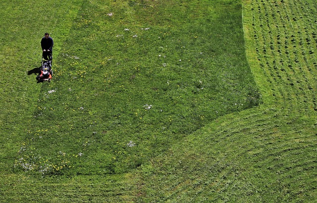 Lawn Care
