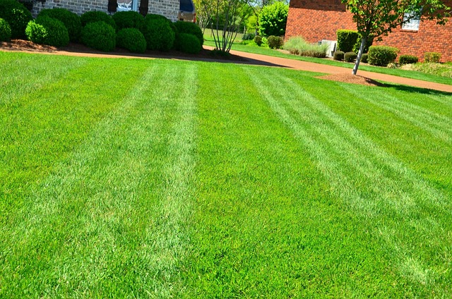 Lawn Care