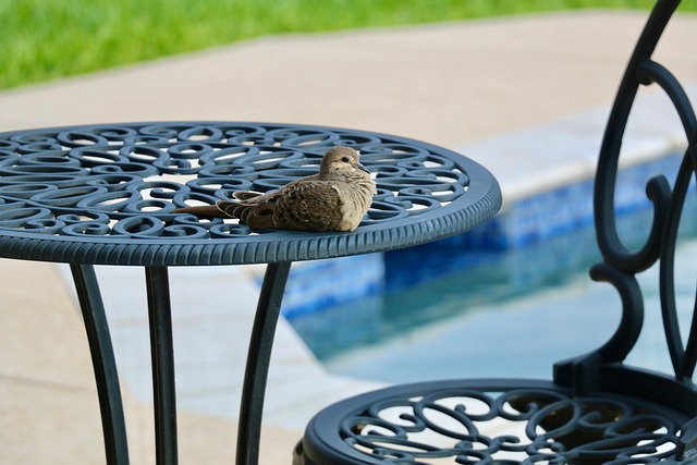 Transform Spaces with Ohio’s Concrete Coating Experts