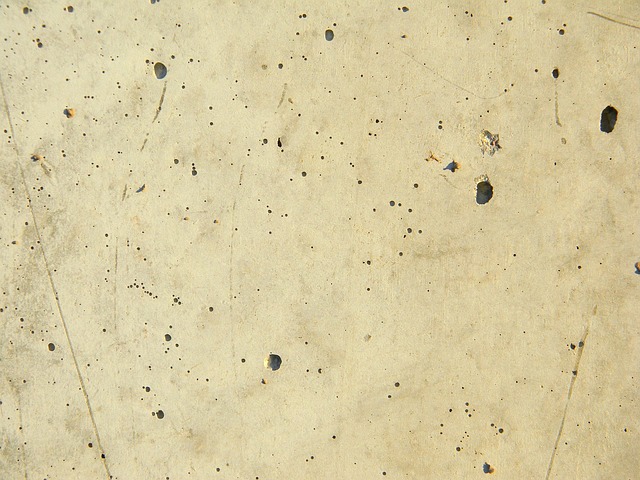 Transform Your Basement with Ohio’s Expert Concrete Coating Services