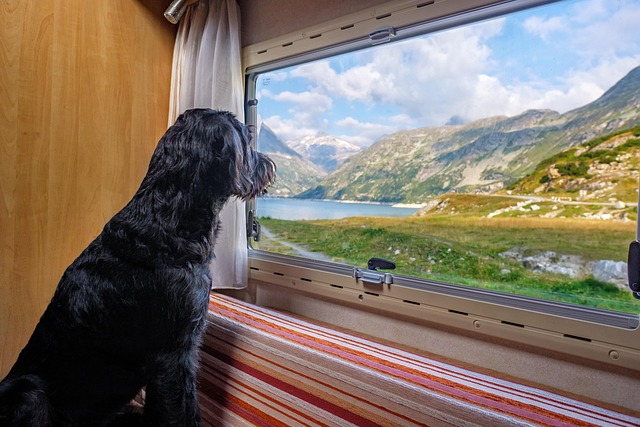 Unwind in Nature: Top U.S. RV Destinations for Enthusiasts