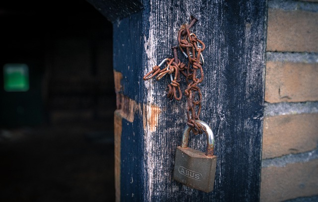 Optimize Tool Storage: Best Wooden Outdoor Sheds Guide