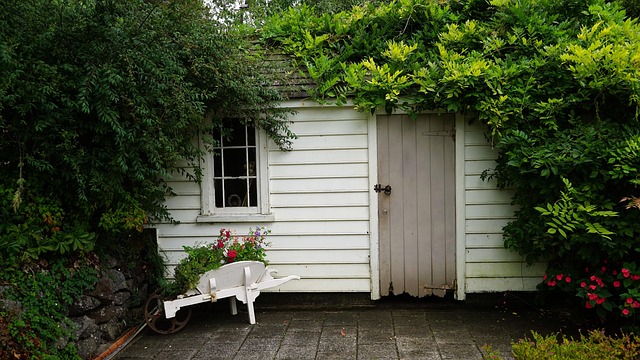 Unveiling Top Backyard Sheds for Every Style and Need
