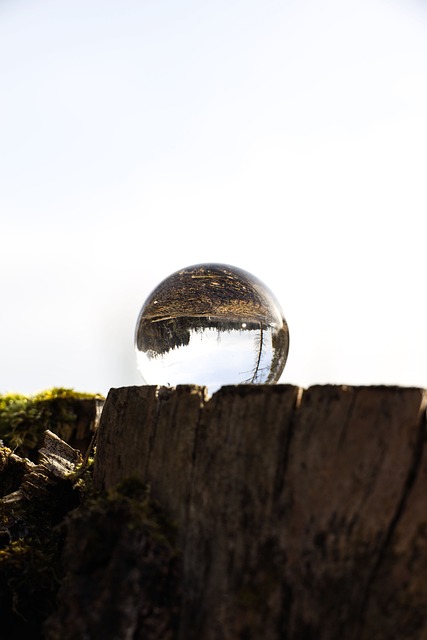 Free Stump Removal: Save Money, Effortlessly Clear Storm Damage