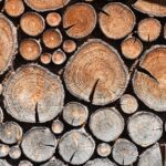 stump-grinding-640x480-5230902.jpeg