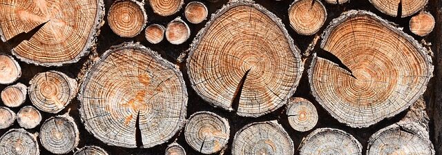 stump-grinding-640x480-5230902.jpeg