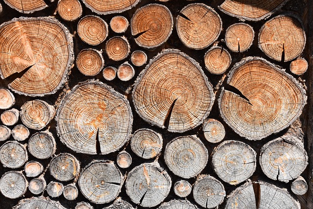 stump-grinding-640x480-5230902.jpeg