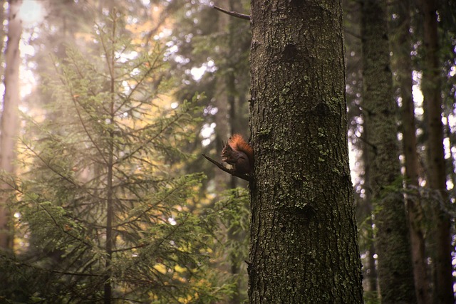 Pest Control Management: Protect Your Property from Wildlife