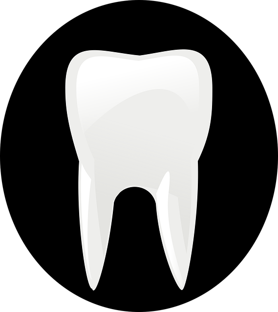 Transform Smiles, Save Money: Milton’s Top Family Dentist at Clearview