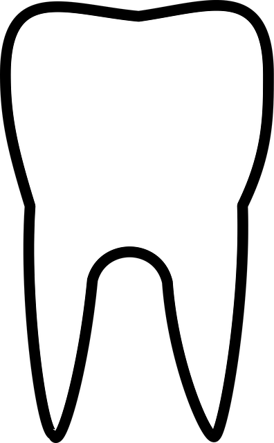 Transform Your Smile, Save with Dental Crowns: Milton’s Top Choice for New Patients