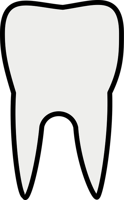 Transform Your Smile, Save Big – Milton’s Top Dental Clinic Offers Free Consultations