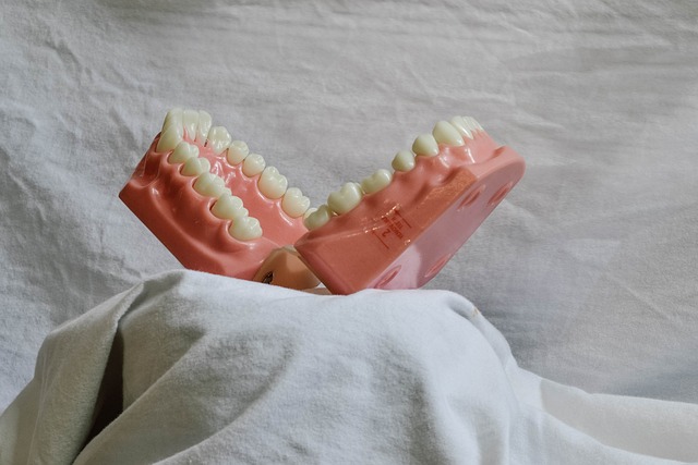 Transform Your Smile, Save Big: Milton’s Top Dentist Offers Bridge Deals