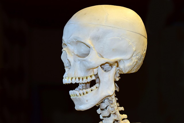 Shreve Denture Clinic: Affordable Walk-In Dentures, Quick Relief in Leamington