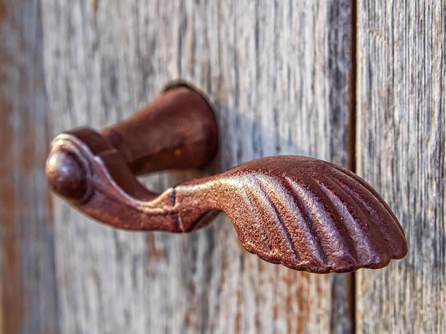 Save Money on Garage Doors: Top-Rated, Licensed Bonded Techs Near You