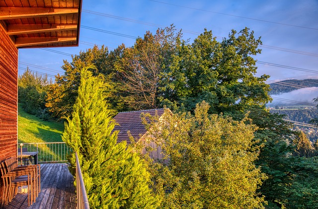 Elevate Your Windsor Business with Cost-Effective Landscape Design