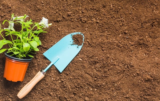 Transform Your Yard, Save Big: Free Design from Windsor’s Top Landscapers