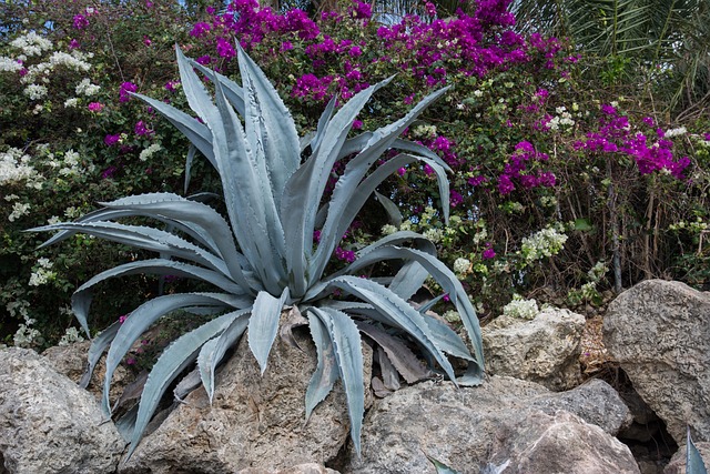 LaSalle’s Top Landscapers: Free Consults, Stress-Free Yards – Get a Quote Today!