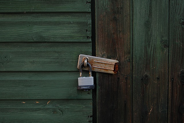 Lofted Buildings: Urban Sheds for Small Spaces, Big Impact