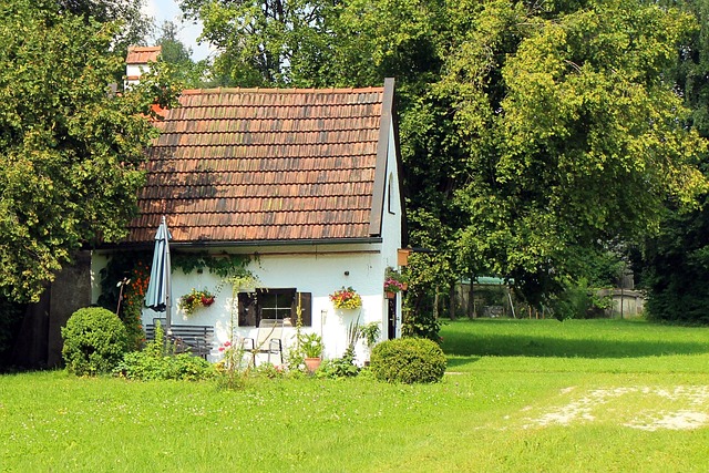 Unleash Garden Art: Decorate Small Sheds with Creative Storage Ideas