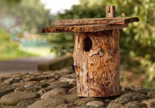 Free Stump Removal: Trustworthy Trees, Effortless Peace of Mind
