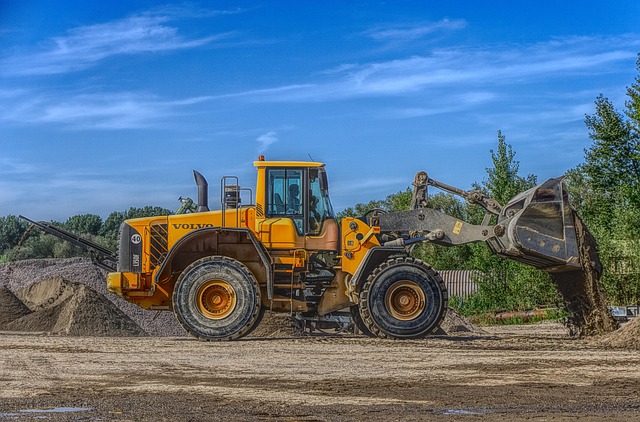 Stumps R Us: Revitalize & Save with Expert Tree Pruning Today!