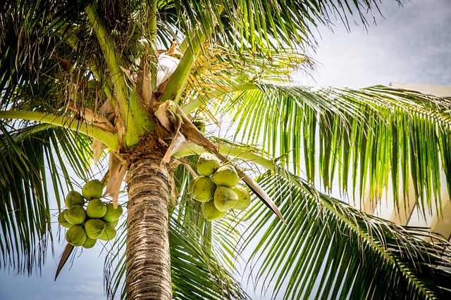 Revolutionize Your Trees, Save Money: Eco-Friendly Expert Advice for Longevity