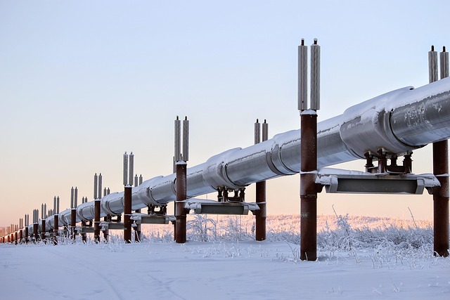 Top Local Spots to Buy Utility Trailers Near You