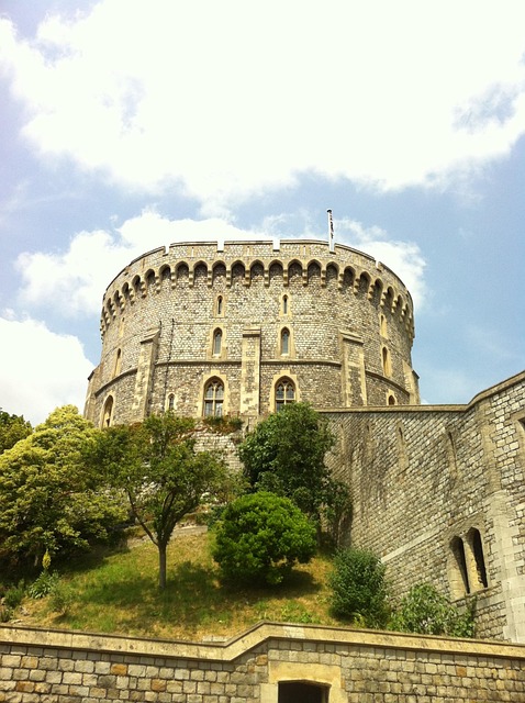 Free Snake Removal Windsor: ProTrap – Your Top-Rated Wildlife Guardians