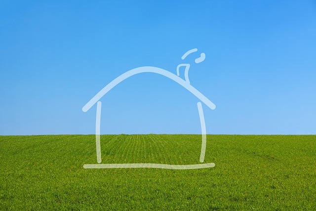 Transform Your Yard, Save Big with Top-Rated Landscapers Windsor Ontario