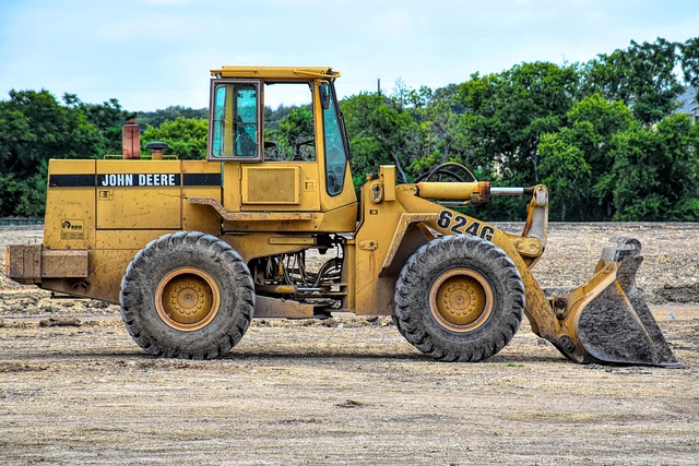 Save Money with Top-Rated Landscapers in Windsor, Ontario – Free Quotes Now!