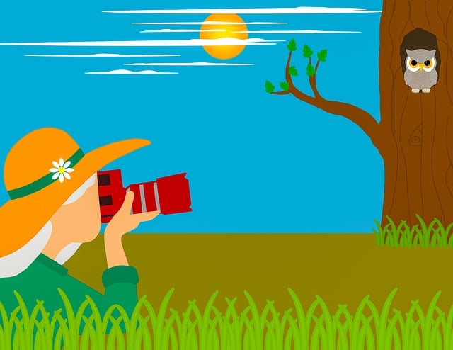 Boost Your Business Value: Free Quotes from Top Windsor Landscapers