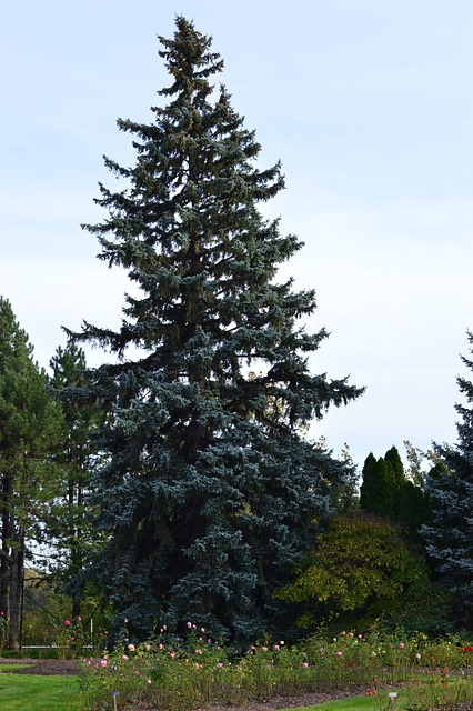 Experience Effortless Commercial Property Care in Windsor, Ontario – Free Landscaping Quotes & Top-Rated Landscapers for Less!