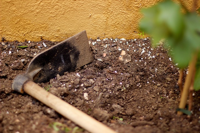 Elevate Your Windsor Home: Free Consult, Stunning Yards, Smart Savings