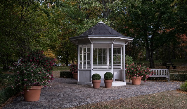 Boost Outdoor Storage: Budget Shed Solutions & Tips